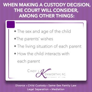custody law